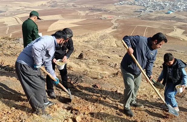 کپه‌کاری در مراتع دهگلان آغاز شد،اجرای طرح در سراسر کردستان