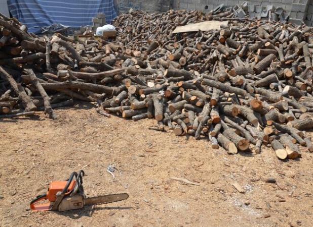 کشف ۵۰۰ کیلوگرم چوب بلوط در طرح ضربتی مبارزه با قاچاق چوب در بانه
