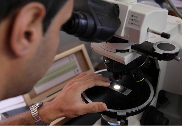 شیوه‌نامه طرح «دانا» برای حمایت از دانش‌آموختگان دکترا ابلاغ شد