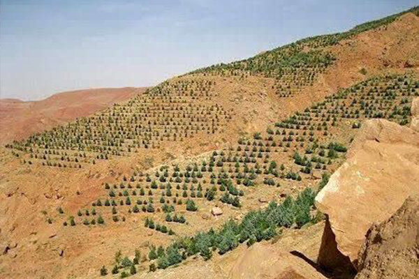توسعه باغات دیم و مدیریت بهینه منابع آب در کرمانشاه