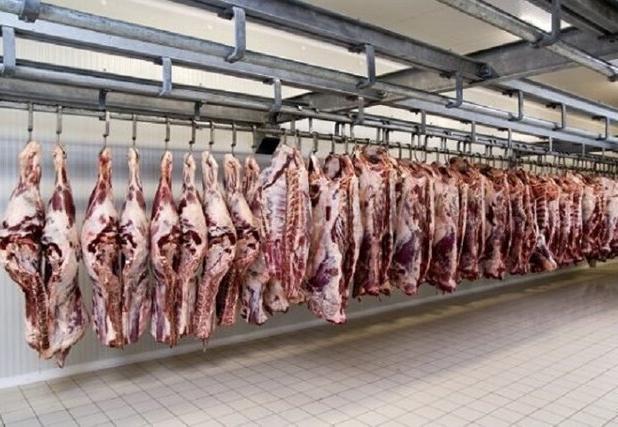 سرمایه‌گذار ساخت پالایشگاه دام خراسان شمالی مشخص شد