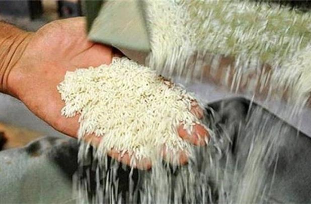 خودکفایی در بخش برنج دور از انتظار نیست