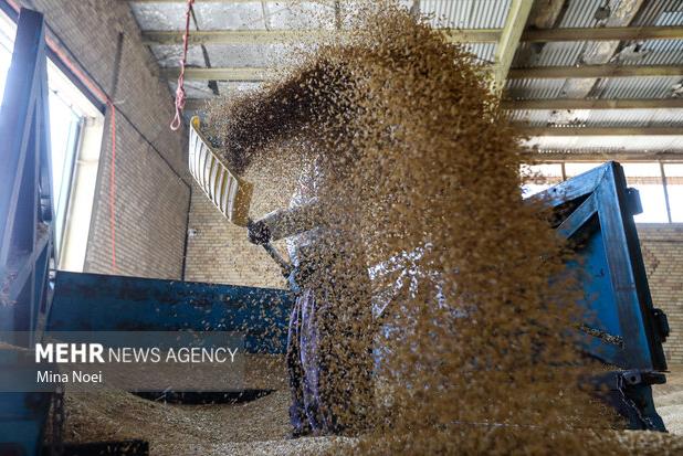 باند ۶ نفره سرقت از قطار حامل غلات در الوار گرمسیری دستگیر شدند
