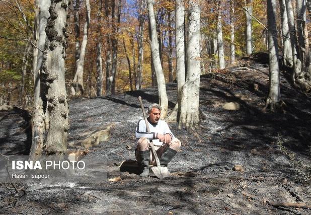 پایان آتش سوزی در گلستان/ گروه های پایش همچنان حاضر در منطقه