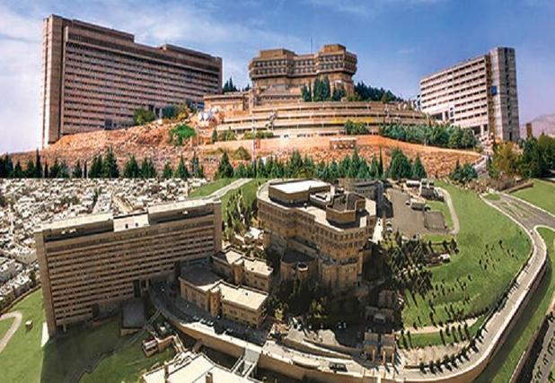 دانشگاه شیراز در شمار ۵۰۰ دانشگاه برتر جهان در رتبه‌بندی موضوعی شانگهای ۲۰۲۵