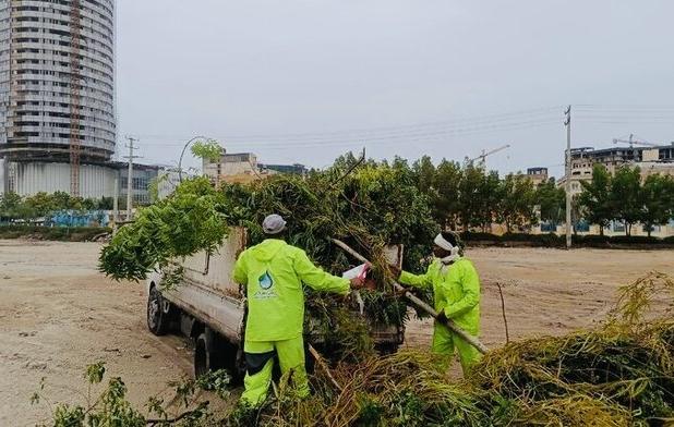 طوفان و بارندگی‌ها بیش از ۳۶ میلیارد ریال به فضای سبز قشم خسارت زد