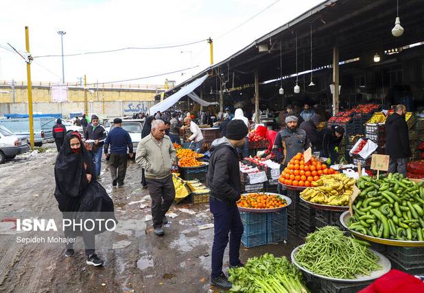 عرضه مستقیم میوه و تره بار در ۵۰ غرفه در سطح مشهد برای ماه رمضان و نوروز