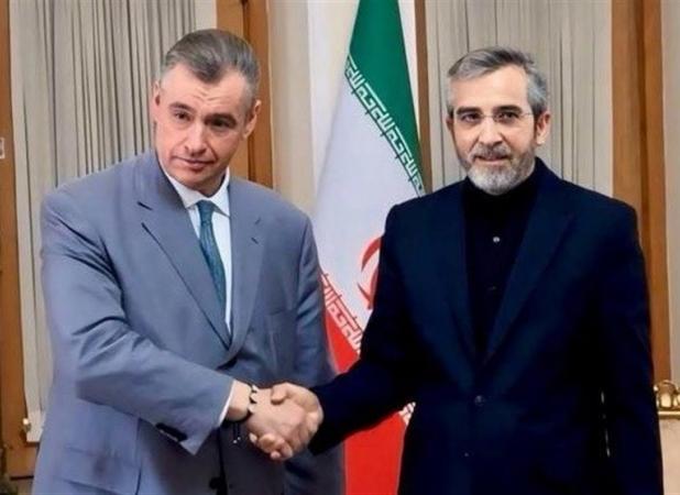 دیدار باقری و رئیس کمیته امور بین‌الملل دومای روسیه