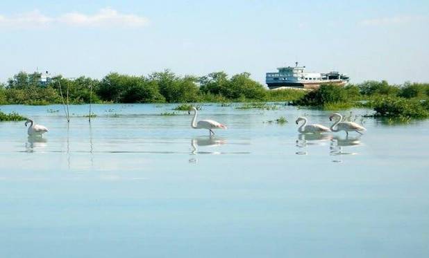 تالاب‌های هرمزگان؛ زیست‌بوم‌هایی استراتژیک در تقاطع محیط‌ زیست، معیشت و توسعه