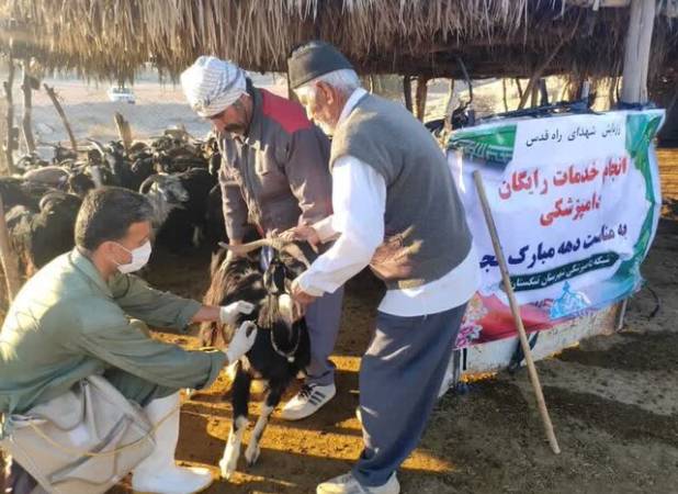 خدمات رایگان دامپزشکی به روستائیان و عشایر بوشهر