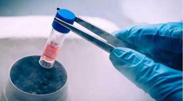 استفاده رایگان از سلول‌های بنیادی خون ساز غیر خویشاوند