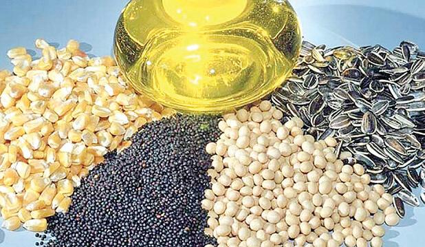 آغاز ثبت سفارش دانه‌های روغنی از امروز 