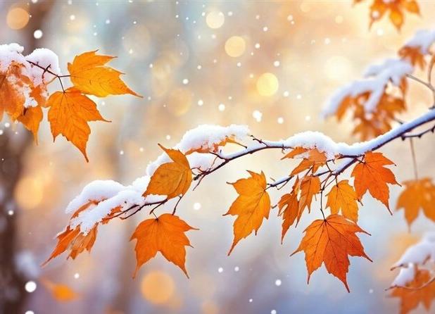 بارش خفیف و پراکنده برف از امشب در همدان