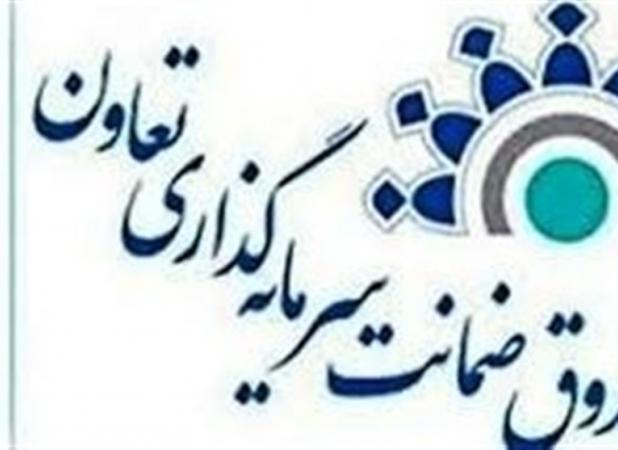 ضمانت‌نامه‌هایی که پشت تعاونی‌ها را خالی کردند