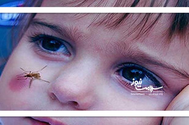 آیا سالک برگشته است؟