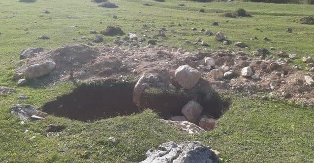 بازداشت ۲۰ حفار غیرمجاز در مناطق جنگلی سوادکوه با گزارش‌های مردمی