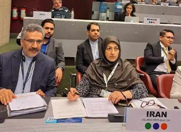 نشست اعضای کنوانسیون‌های محیط‌ زیستی با حضور نمایندگان ایران