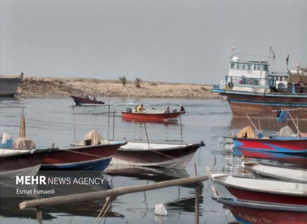«دریابست» در استان بوشهر؛ ممنوعیت صید برای حفظ ذخائر آبزیان
