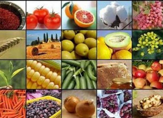 تورم تولید بخش کشاورزی به 36 درصد کاهش یافت