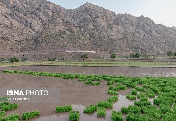 مصرف آب در کشاورزی به میزان پیش‌بینی شده سال ۱۴۱۱ رسیده است