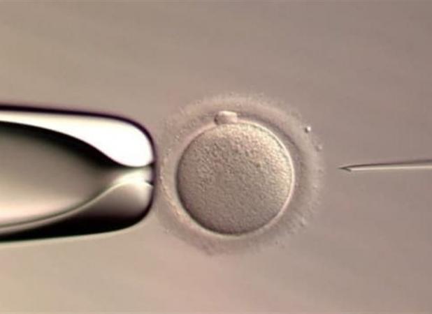 نخستین نوزاد متولد شده با سیستم هوش مصنوعی در IVF دنیا آمد