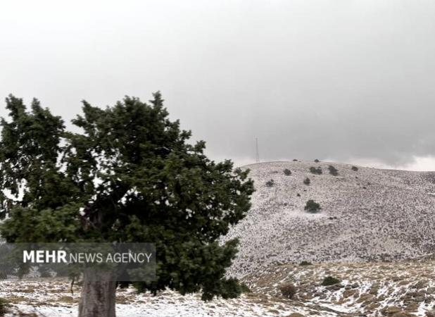 بارش برف چهره شهرهای آذربایجان غربی را سفیدپوش کرد