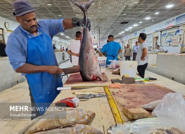 نبود گمرک تخصصی در کهگیلویه و بویراحمد حلقه گمشده صادرات ماهیان سردآبی