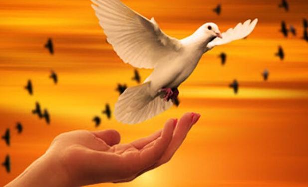 بخشودگی محکومان با پویش «به حرمت علی(ع) می‌بخشم» !