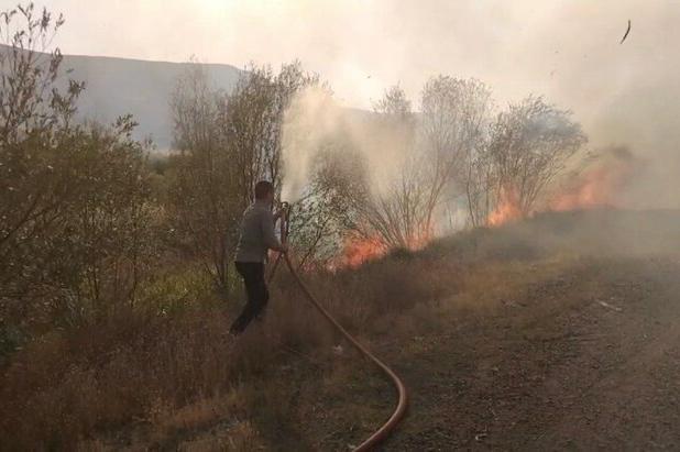 آتش‌سوزی درختان در حوالی روستای «کوخالو» تیکمه‌داش مهار شد