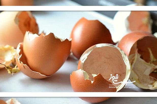 پوسته تخم‌مرغ؛ ارزان‌ترین و مؤثرترین مکمل طبیعی کلسیم