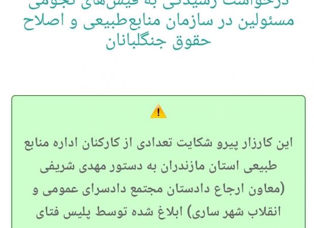 حرکت کارزار بدون تخلف و قانون شکنی/ اعاده حیثیت از طریق مراجع قانونی حق نویسندگان کارزار است