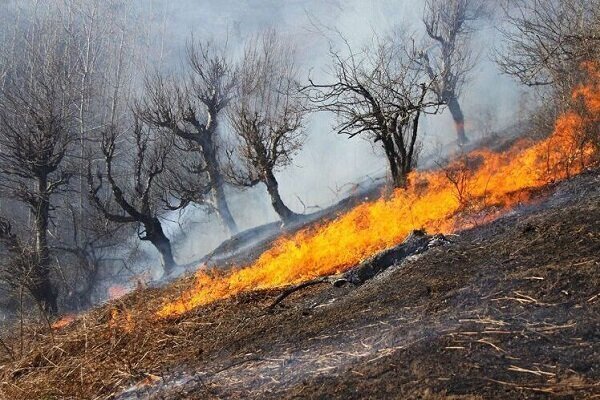 آتش سوزی گسترده در منطقه رمون ساردوئیه جیرفت