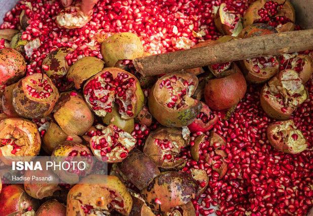 پیش بینی برداشت ۴۰۰۰ تنی انار در گیلان