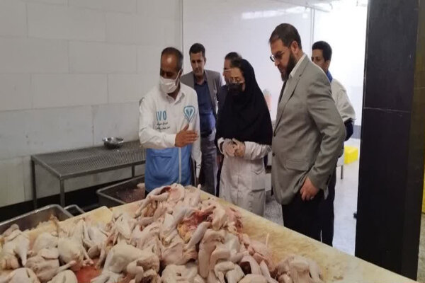 کشف بیش از ۳ تن فرآورده‌های خام دامی در سردخانه غیرمجاز در زاهدان