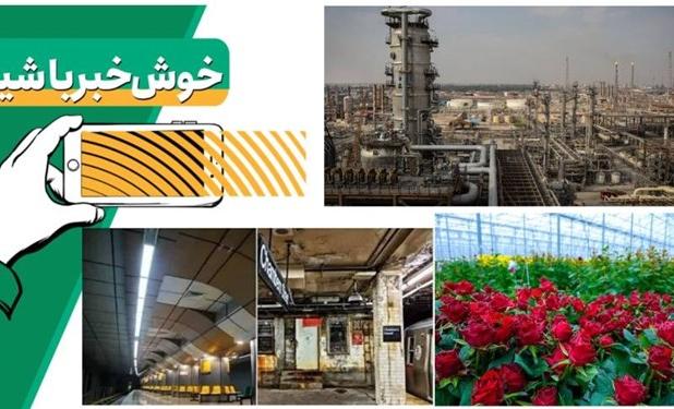 خبر خوب | با گلخانهٔ هیدروپونیک هر جای ایران گل بکارید