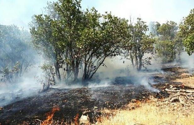 مهار آتش سوزی در جنگل های بلوط کوه چنار فارس