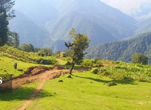 کشف جاده غیرمجاز ۸ کیلومتری در جنگل‌های گیلان