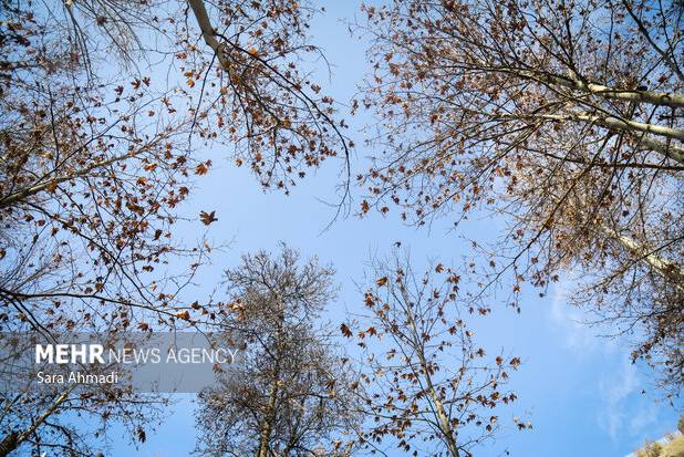 کاهش ۱۲ درجه ای دمای هوا در خراسان رضوی