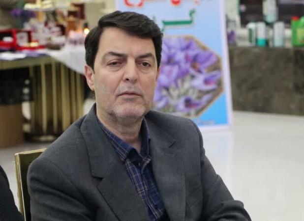 کشت زعفران می‌تواند به اقتصاد کشاورزی لرستان کمک کند