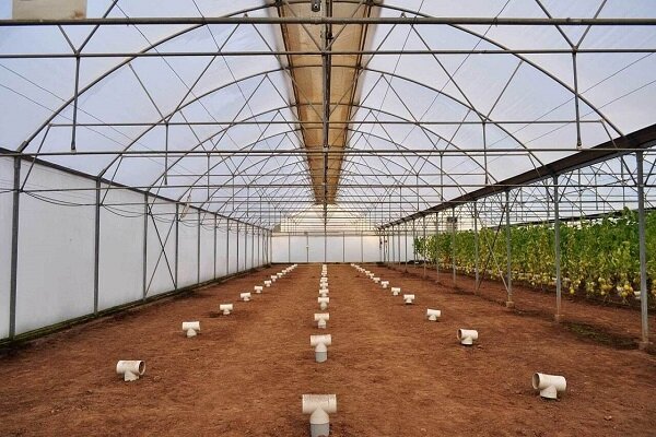 گلخانه ‌داران آذربایجان‌غربی با کاهش دما اقدام پیشگیرانه کنند