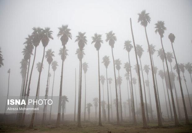 هشدار «نارنجی» وقوع مه در خوزستان