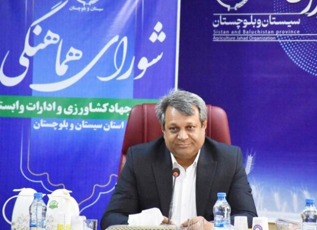 ضرورت تقویت پژوهش‌های کاربردی کشاورزی برای خودکفایی غذایی