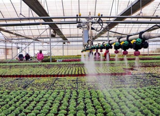 شورای راهبردی تحقیقات چرخ‌دنده بخش اجراست