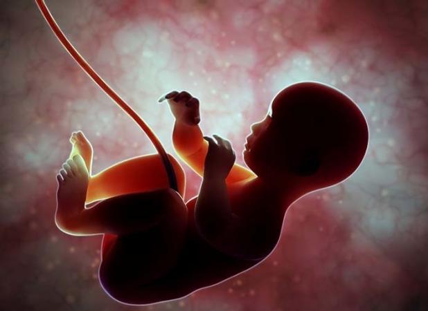 اجرای افراطی سیاست‌های تنظیم خانواده عامل موثر درسقط جنین