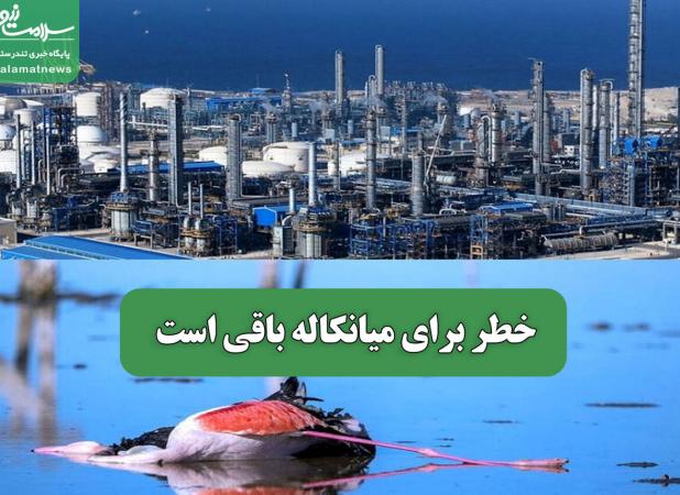 خطر برای میانکاله باقی است