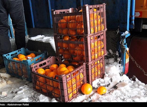 میوه شب عید امسال نرخ مصوب ندارد/ توزیع بیش از نیاز برای رقابتی کردن بازار