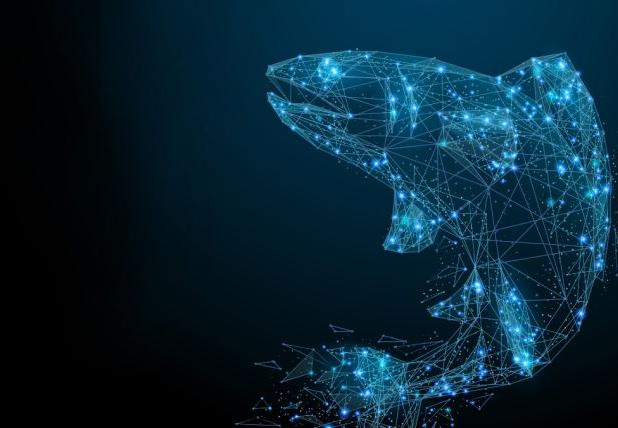 هوش مصنوعی به کمک ماهی‌های سالمون آمد