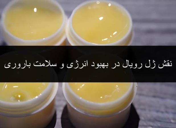 نقش ژل رویال در بهبود انرژی و سلامت باروری