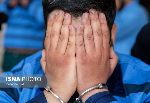 از دستگیری سارقان تجهیزات برق‌ تا کشف چوب قاچاق در قزوین