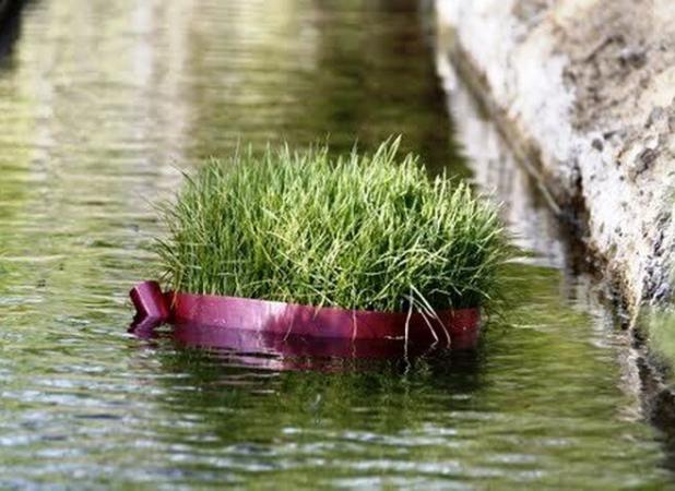 سیزدَه‌به‌دَر نمادی زیبا از آشتی انسان با طبیعت